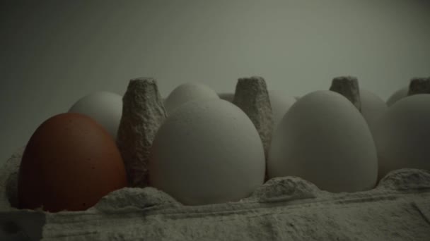 Panorama of eggs in the cell.One egg is different collor then another. White background. Raw footage - Séquence, vidéo