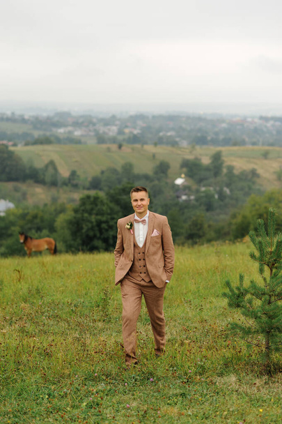 Jeune beau marié en costume marron marche dans une prairie verte
. - Photo, image