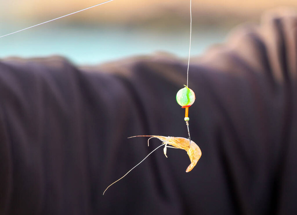 Sea shrimp used as bait for sea fishing - Foto, immagini