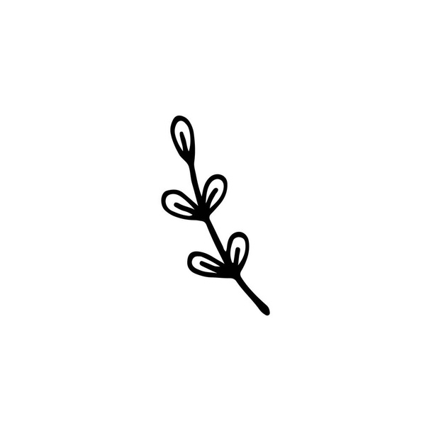 Abstract branch in doodle style. Hand drawn vector illustration for cards, posters, stickers and professional design, web design, logo. Isolated on white background. - Vektör, Görsel
