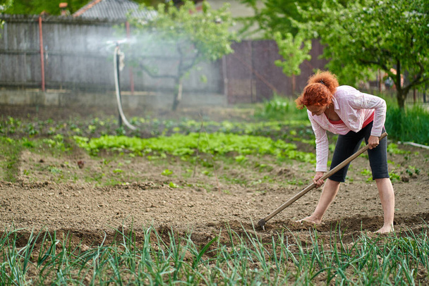 Woman farmer with a hoe working in the garden - Foto, imagen