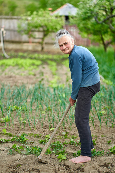 Old farmer woman with a hoe in her backyard garden - Fotoğraf, Görsel