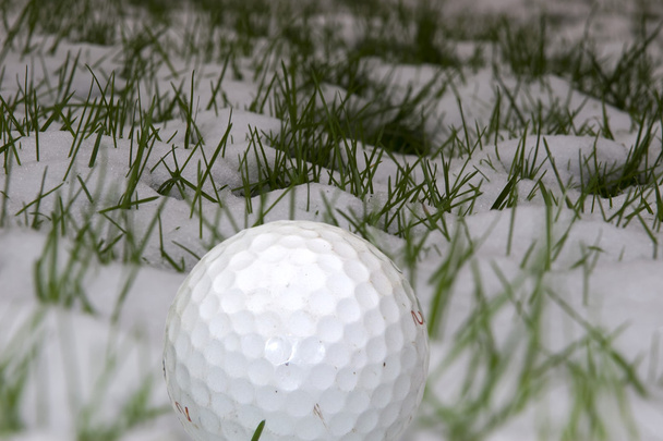 один м'яч для гольфу на снігу
 - Фото, зображення