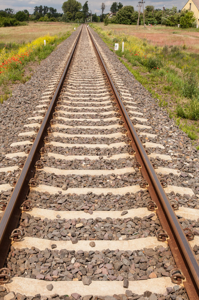 Railroad tracks perspective - Photo, Image