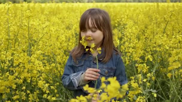 A beautiful girl with posing against a yellow rapeseed field. She smelling yellow canola flowers - Footage, Video