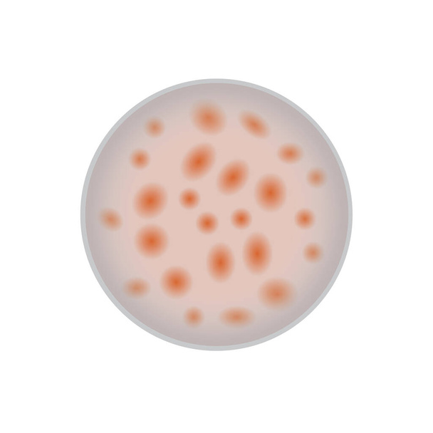 Ілюстрація тесту на чутливість до антибіотиків на білому тлі
 - Вектор, зображення