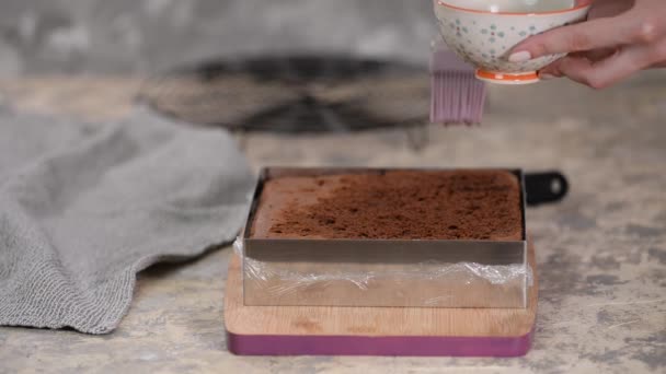 Namáčení čokoládový houba dort vrstva s kávou. - Záběry, video