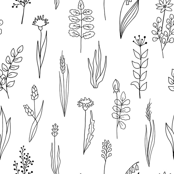 Floral vector seamless pattern. Hand drawn outline plants and flowers isolated on white background. Illustration for wallpaper, textile, wrapping, card, decoration. - Vektör, Görsel