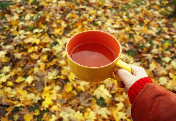 Чашка черного чая в руке на красочном осеннем фоне листьев - Фото, изображение