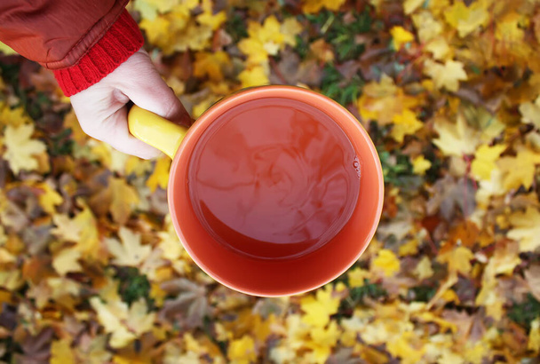 Filiżanka czarnej herbaty w dłoni na kolorowe jesień liście tła - Zdjęcie, obraz