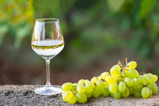 白ワインとブドウのグラス屋外 - 写真・画像