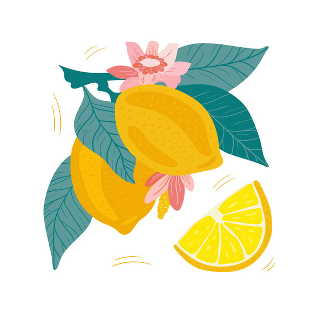 Citrom. Trópusi nyári gyümölcs izolált fehér alapon. Citrus kézzel rajzolt stílusban. Skandináv skandináv divat- vagy belsőépítészet, borítás, textil vagy háttér.  - Vektor, kép