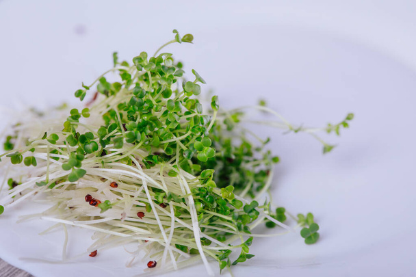 germinated seeds of microgreens, broccoli - Фото, зображення