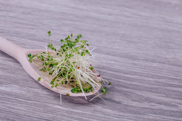 germinated seeds of microgreens, broccoli - Photo, Image