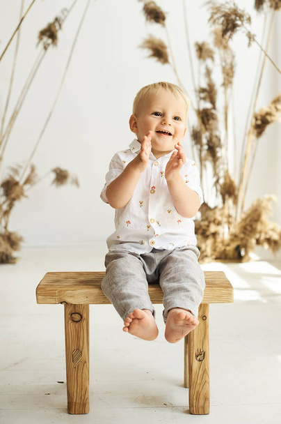 A portrait of a small cheerful boy on a white background with reeds - Foto, afbeelding