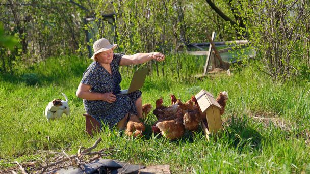 Elderly woman with laptop and chickens in village - Φωτογραφία, εικόνα