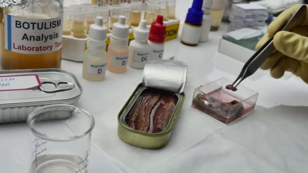 Έμπειρος εργαστηριακός επιστήμονας που αναλύει ένα δείγμα από κονσερβοποιημένο δοχείο τροφίμων, λοίμωξη αλλαντίασης σε άρρωστους ανθρώπους - Πλάνα, βίντεο