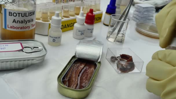 Έμπειρος εργαστηριακός επιστήμονας που αναλύει ένα δείγμα από κονσερβοποιημένο δοχείο τροφίμων, λοίμωξη αλλαντίασης σε άρρωστους ανθρώπους - Πλάνα, βίντεο