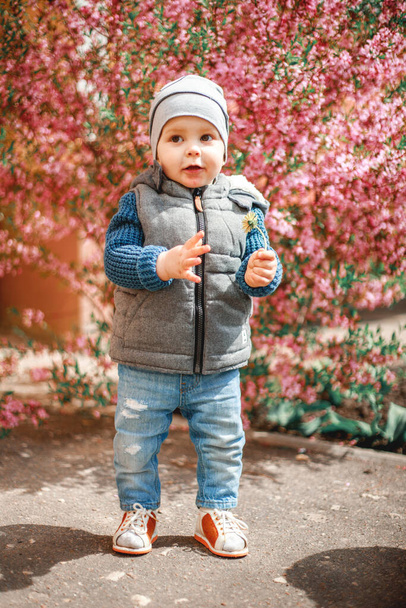 a child dressed in jeans standing near a flowering Bush with pink flowers with a dandelion in his hands in spring - 写真・画像