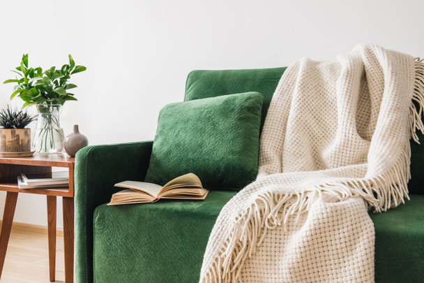 sofá verde con almohada, libro y manta cerca de mesa de centro de madera con plantas
  - Foto, Imagen