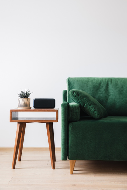 зелений диван з подушкою і ковдрою біля дерев'яного журнального столика з рослинами
  - Фото, зображення