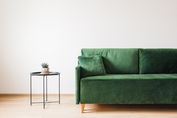green sofa with pillow and coffee table with plant - Фото, зображення