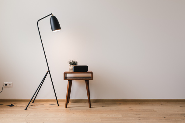 lámpara de pie de metal y mesa de centro de madera con planta y reloj con pantalla en blanco
 - Foto, imagen