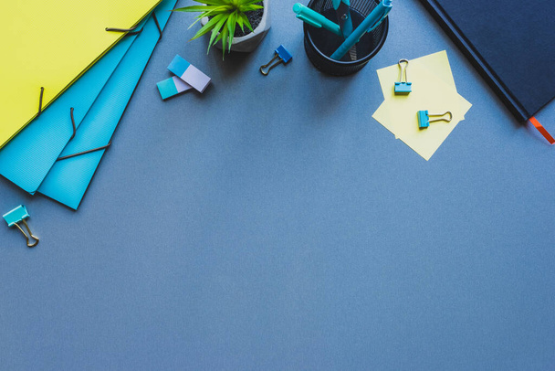 Vista superior de carpetas de papel, planta y papelería en superficie azul
 - Foto, imagen