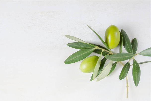 Olive branch on the white background with copy space, top view, horizontal - Photo, Image