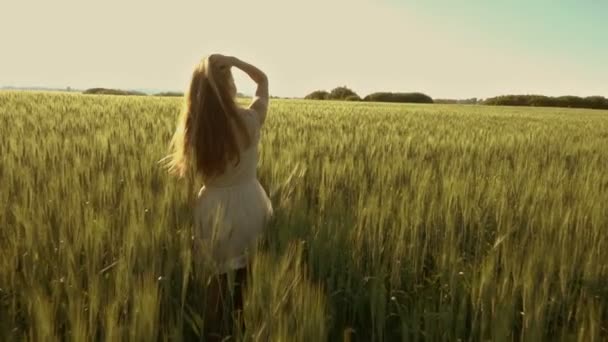 Beautiful girl walking in a wheat field at sunset, slow motion - Filmmaterial, Video