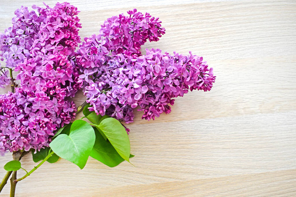 Sprigs of freshly cut purple lilac on a light beige wooden background. Greeting card for mother's day or birthday with copy space. Top view. Horizontal photo. - Photo, Image