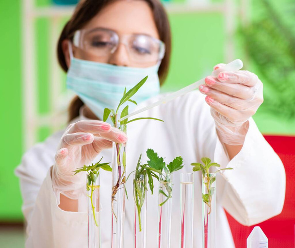 Beautiful female biotechnology scientist chemist working in lab - Photo, Image