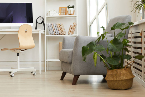 Háttér kép kényelmes szürke fotel hangulatos sarokban a modern skandináv otthon díszített növények, másolás tér - Fotó, kép