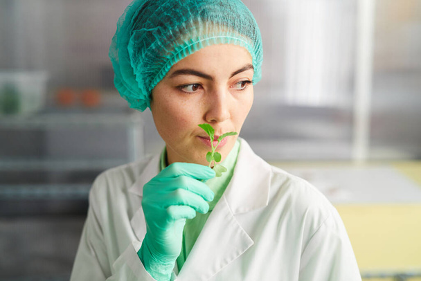 Portré női munkás kezében apró zöld növény, miközben dolgozik a biolaboratóriumban, másolás hely - Fotó, kép