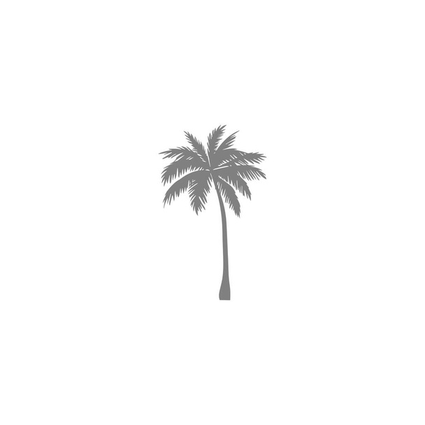 Exotic palm tree gray vector icon isolated - Vector, Image