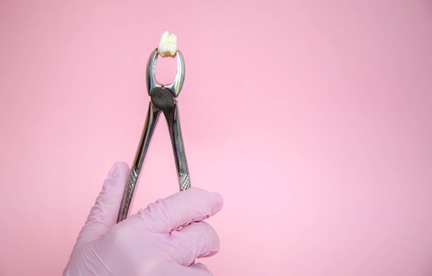 Der Arzt hält eine Zange zur Zahnextraktion in den Händen. Der erkrankte Zahn wurde entfernt. Eine Injektion mit Narkose und einem Zahn. Zahnextraktion in einer Zahnklinik. Dentale Instrumente - Foto, Bild