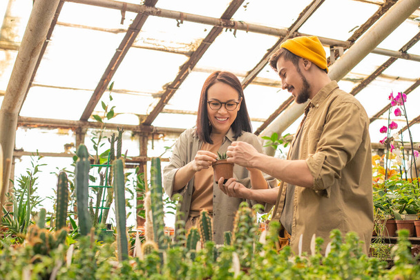Позитивні молоді багатонаціональні працівники розплідників вивчають кактус і вирощують його в теплиці
 - Фото, зображення