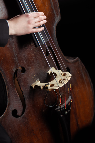 cropped view of professional musician playing on contrabass isolated on black - Φωτογραφία, εικόνα