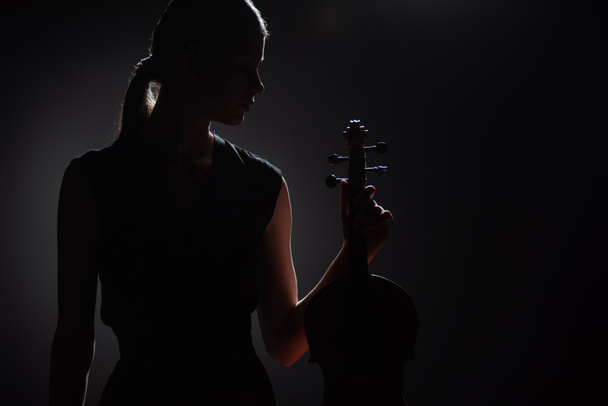 silhouette of female musician holding classical violin on dark stage - Фото, зображення