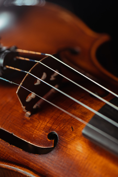 close up of professional violin, selective focus - Foto, Imagem