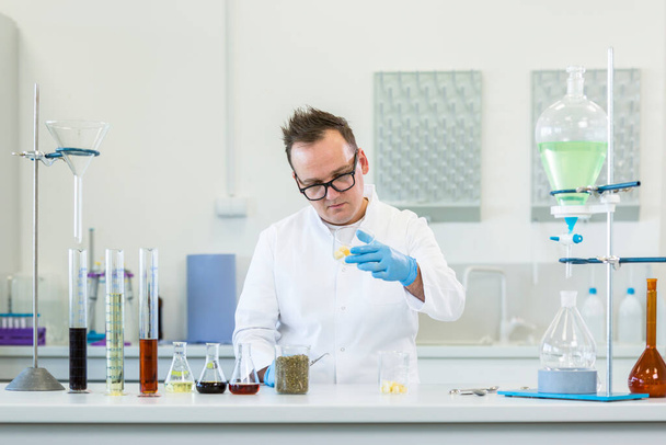 男性の化学者は実験室で結晶中の麻CBDのテンペを検査する。彼はピンセットを使ってガラスを見ている。テーブルとマリファナの種子にCBD油があります。ヘルスケア薬局のコンセプト. - 写真・画像