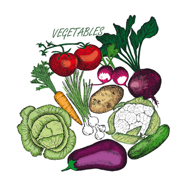 Vegetables round composition. Healthy food. Line art style. - Vektor, obrázek
