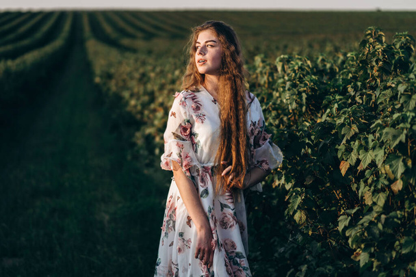 beautiful woman with long curly hair and freckles face on currant field background. Girl in a light dress walks in the summer sunny day. - Фото, изображение