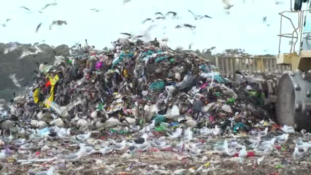 Residuos en un vertedero con plástico  - Imágenes, Vídeo