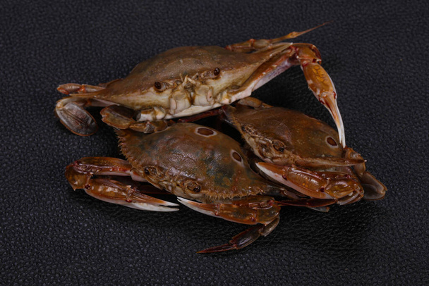 Crabe cru naturel - prêt pour la cuisson
 - Photo, image