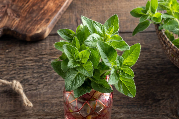Fresh oregano leaves in a vase on a table - Foto, imagen