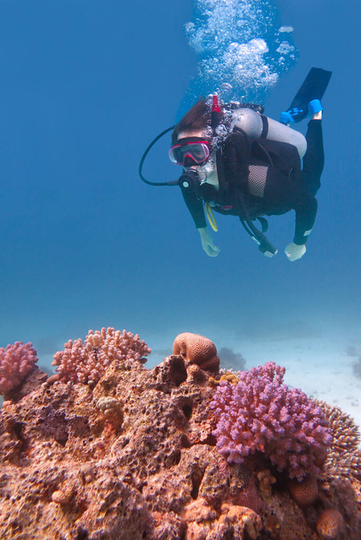 Młody człowiek nurkujący w błękitnym morzu z rafą koralową - Zdjęcie, obraz