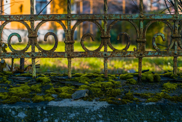 iron fence with moss green is very beautiful - Photo, Image