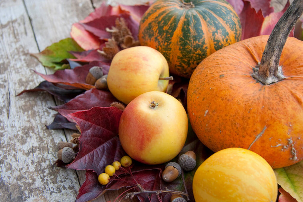 Décoration d'automne avec pommes, feuilles et citrouilles
 - Photo, image
