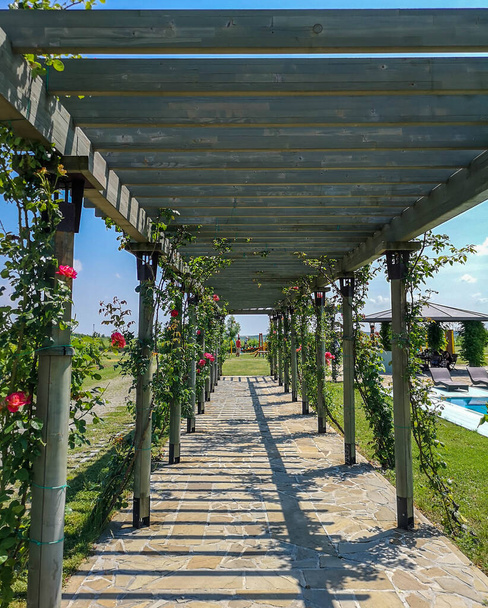 A paved path in the garden with wooden archways covered in rose plants and blooming roses, ideas for garden decorations with beautiful natural motifs - Photo, Image